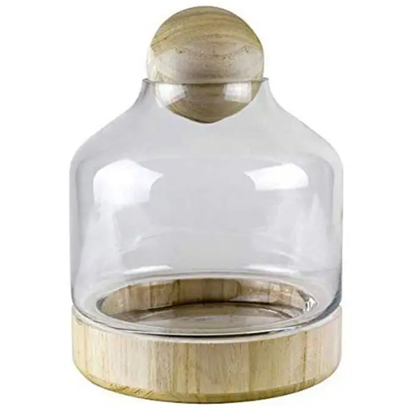 Garden wholesale vase clear glass terrarium plants with wooden base and wooden ball top