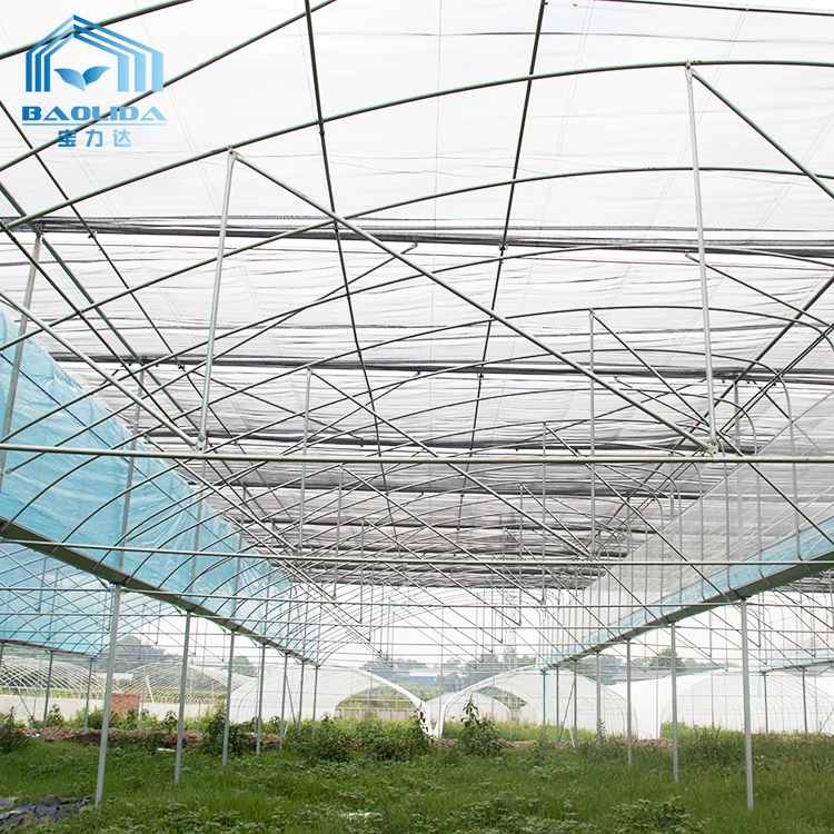 Cheap Tomato Agricultural Plastic Film Cover Low Cost Economic Large Multispan Greenhouse for Vegetable