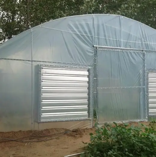 
Advanced Multi-Span Single-Span Chinese Greenhouse technology Glass Greenhouse Turnkey Project Price 