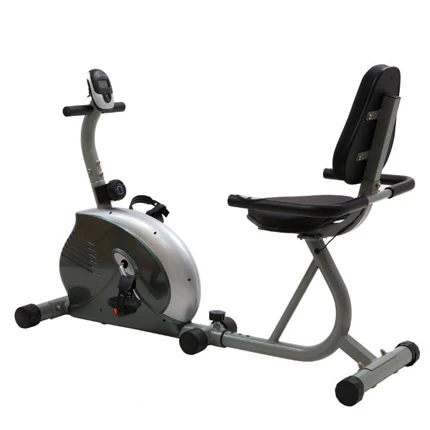 Magneto Gym Aerobics Spinning Bike