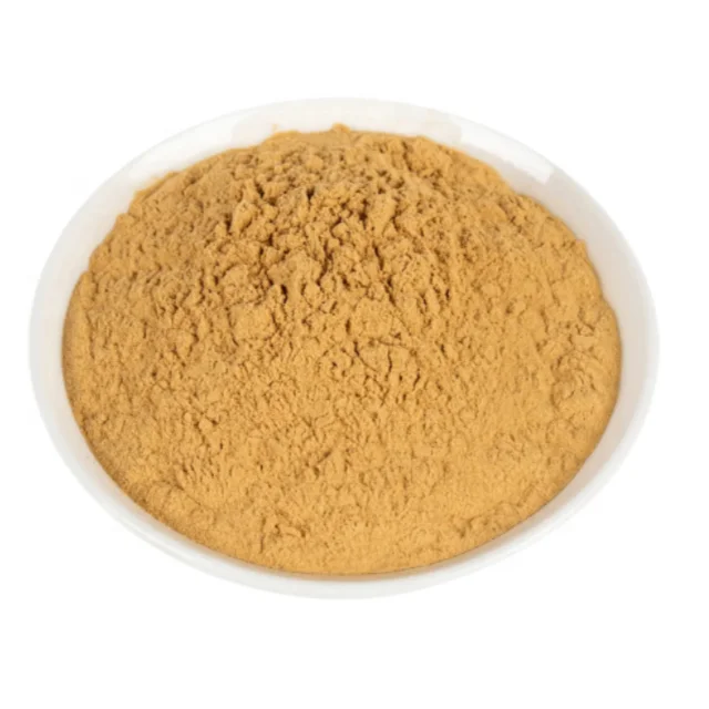 High Quality Ginkgo Biloba Leaf Extract 10:1 Ginkgo Biloba Extract Powder
