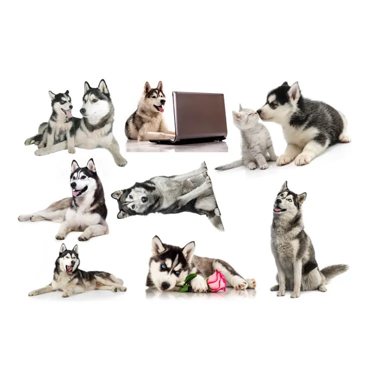 Creative simulation kitten dog skirting cartoon wall sticker bedroom background wall self-adhesive waterproof wallpaper