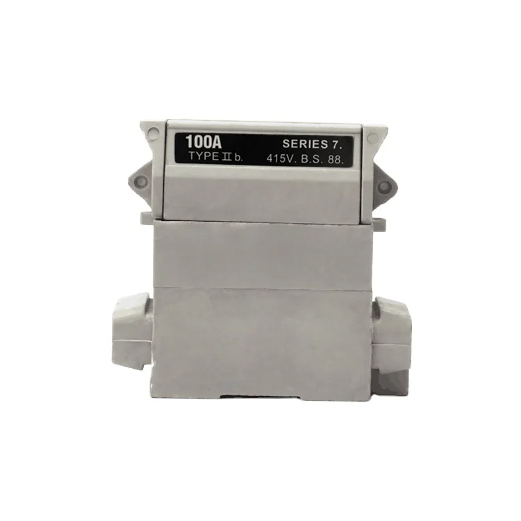 
Cut out fuse bakelite single low voltage 60A /80A /100A 1P SPN TPN House service SPNE cut out 