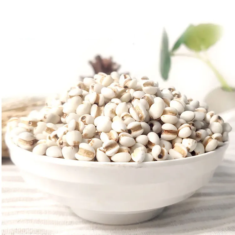 Coix Seed China Wholesale Dried Coix Natural Adlay