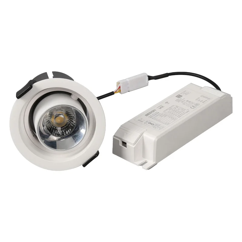 Customization SmartDriver 20W 500mA  RGBCW Multiple color 100-277V Smart Led Power Supply for Indoor Light