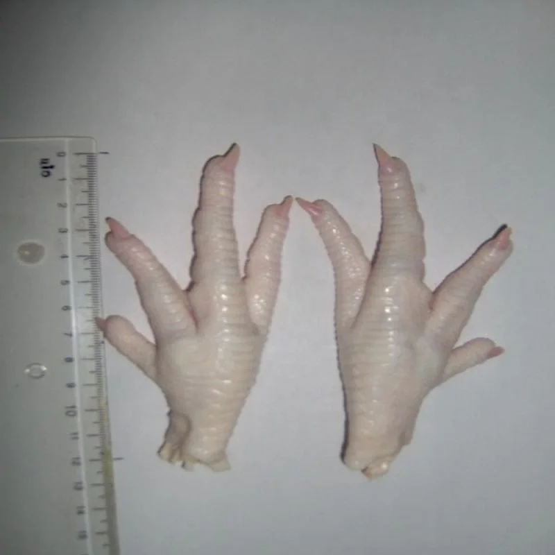 Frozen Chicken Paws Grade A