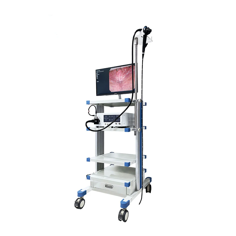 Medical Equipment Endoscopy System High Resolution Electronic Video Gastroscope And Colonoscope