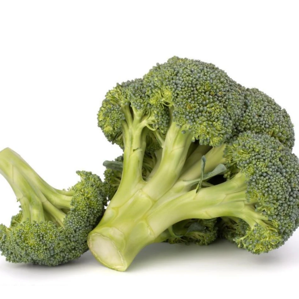 Wholesale Natural Fresh Origin Broccoli Vegetable Fresh Broccoli