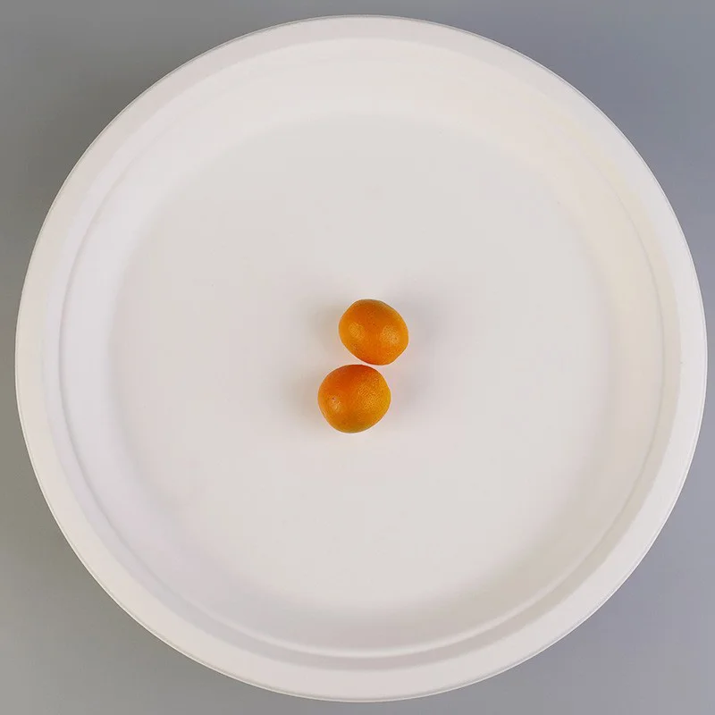 Disposable paper plate kindergarten handmade DIY painting cake barbecue tray biodegradable large paper plate 12 inches