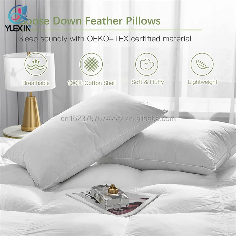 feather pillow 21.jpg