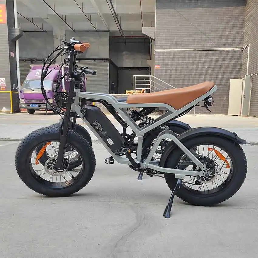 EU US UK AU DE warehouse 15Ah Lithium Battery Bicycle Ebike Family Cargo Bike 750W High speed Motor eBike Fat Tire ebike