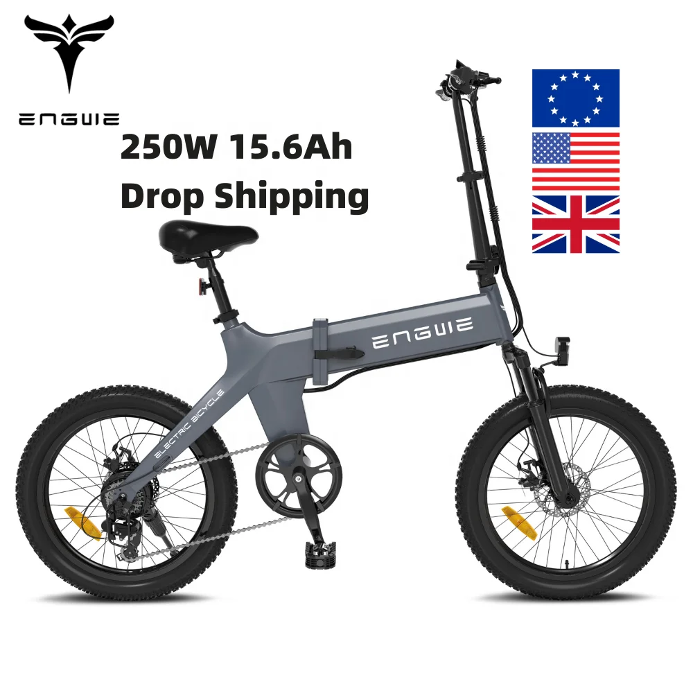EU 15.6Ah 250W Large capacity battery folding fat tire electric bike ebike bicycle engwe c20 pro