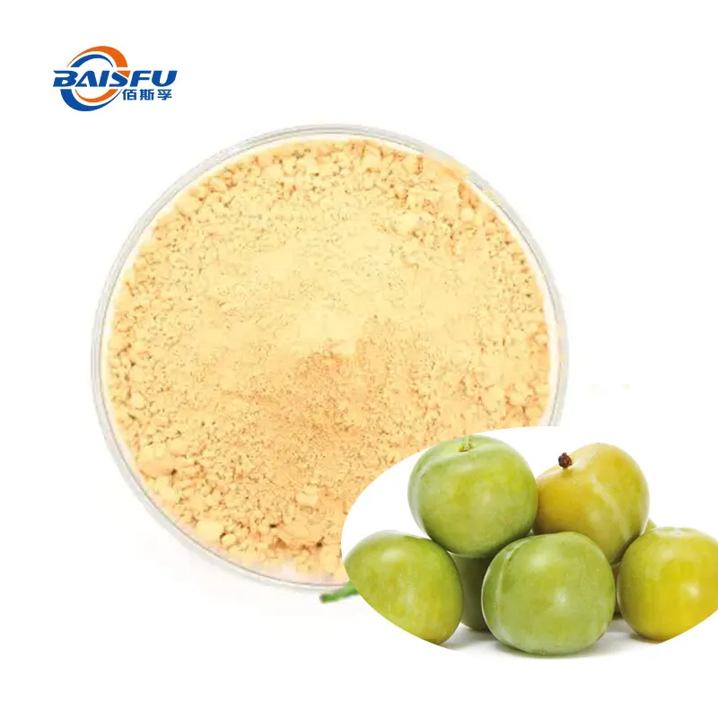 Chinese 10 years Manufacturer for Plum Powder Food additive Aromatic agent smell fragrance powder hot Sale