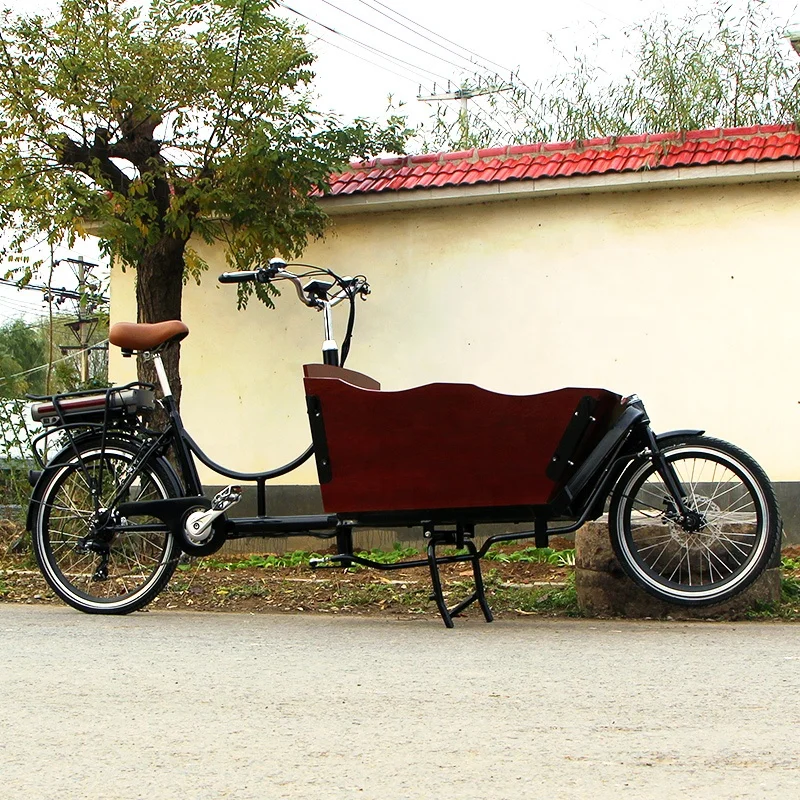 Chinese supplier 2 wheel cargo bike electric with 250W rear hub- motor for sale