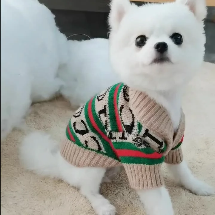 Customized Wholesale Luxury Teddy Brand Fashion Cute Patter Knit Cardigan Pet Clothes Dog Sweaters For Small Dog