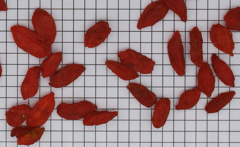 
Fruit of Chinese wolfberry 