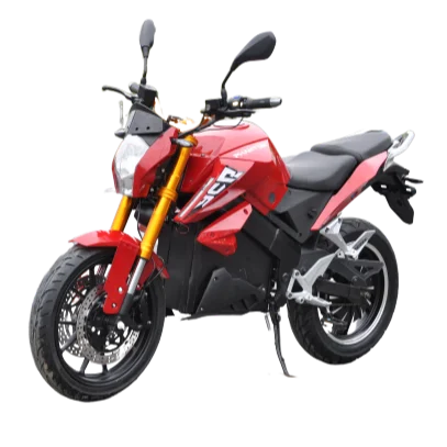 Professional manufacture powerful high speed electric motorcycle scooter 3000w citycoco electric scooter adult