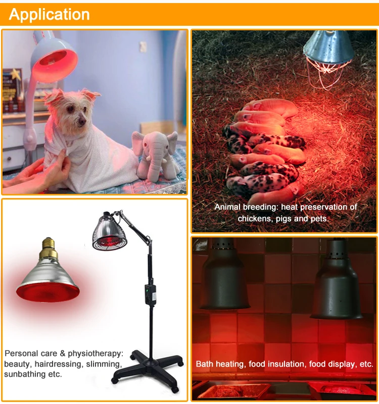 Application.jpg