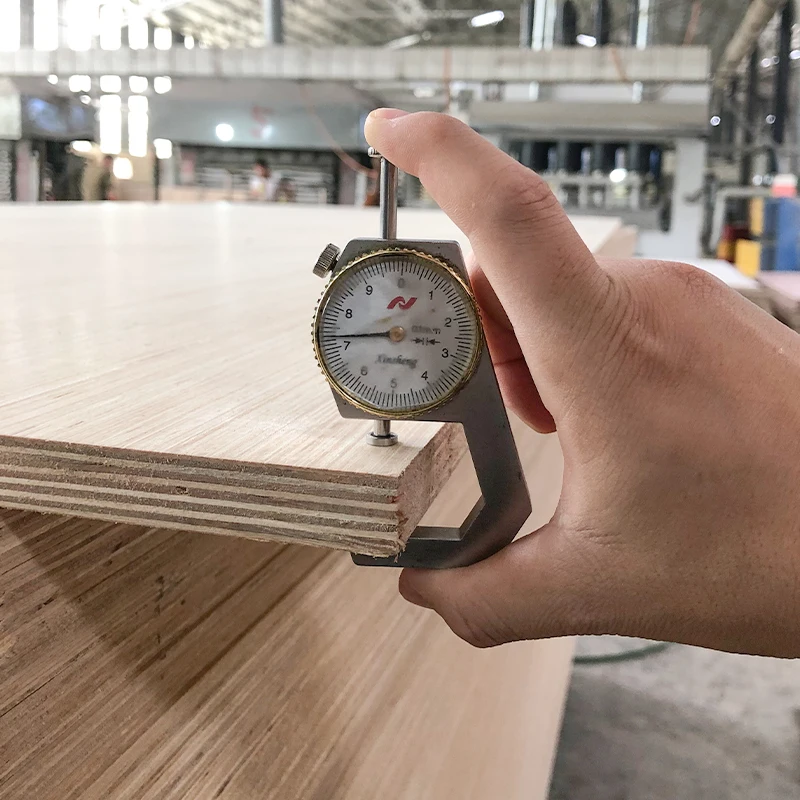 Cheap Price Waterproof Ev White Birch Plywood commercial Laminate For Plywood