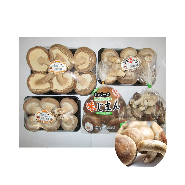 Well-known fresh juicy Japan frozen champignons edible mushroom