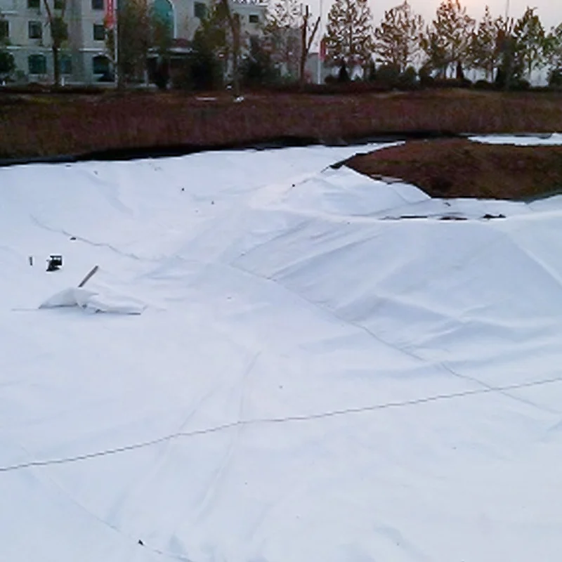 Top Quality Factory Direct Sale Geotextile  Non Woven Fabric outside and HDPE geomembrane inside for landfill