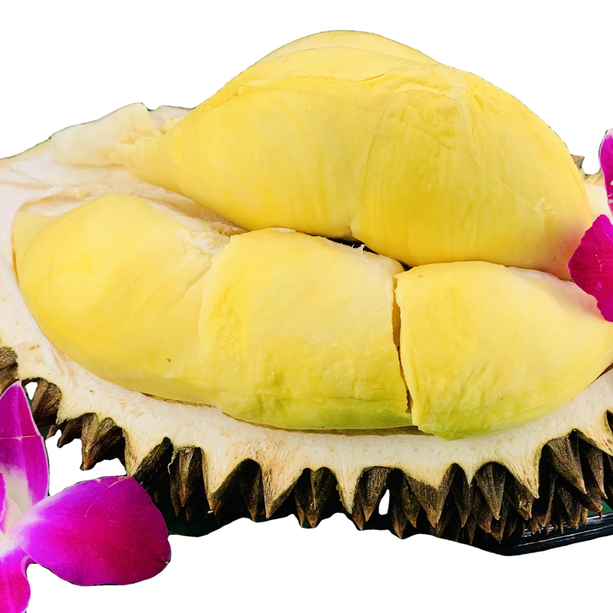 Premium Quality & Top Seller Monthong Fresh Durians Grade A from Thailand