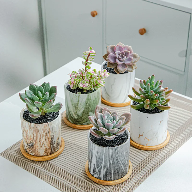 Оптовая продажа китайские комнатные маленькие декоративные керамические мраморные цветочные горшки с подносом