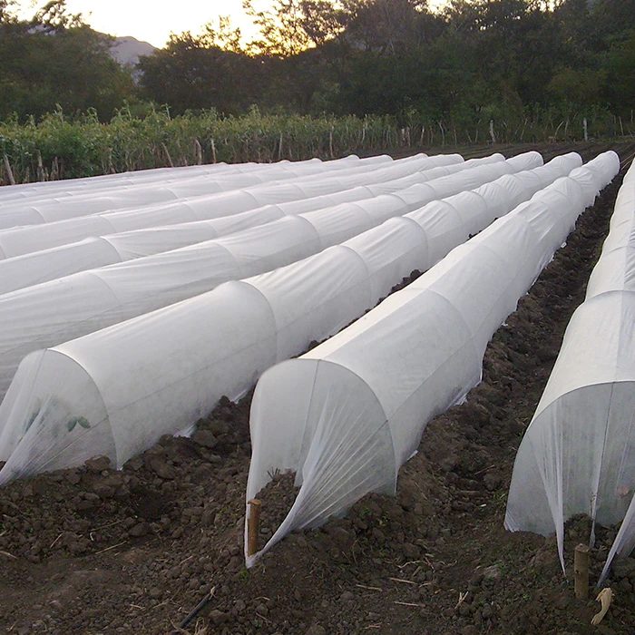 Plant Ground Cover Waterproof Customized Hydrophilic Non-woven Fabric Polypropylene Nonwoven Fabric Non Woven Agriculture Fabric