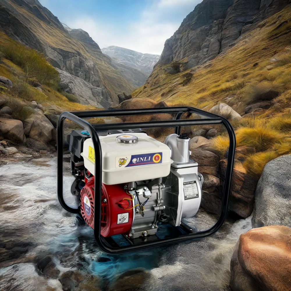 Сверхмощный 2-дюймовый QL-20 6 5 л.с. 196 куб. См 1000 л./мин 4-тактный бензиновый водяной насос для орошения и сельского хозяйства от QINLI