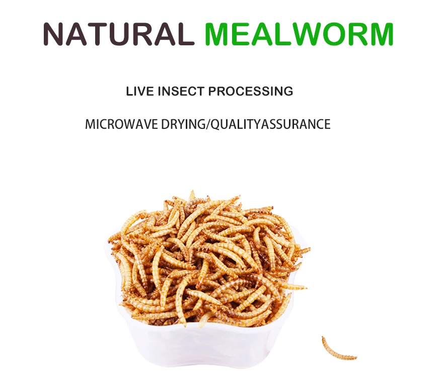 
Tian En china factory black soldier fly pet foods fish cats bird food feed dried mealworm 