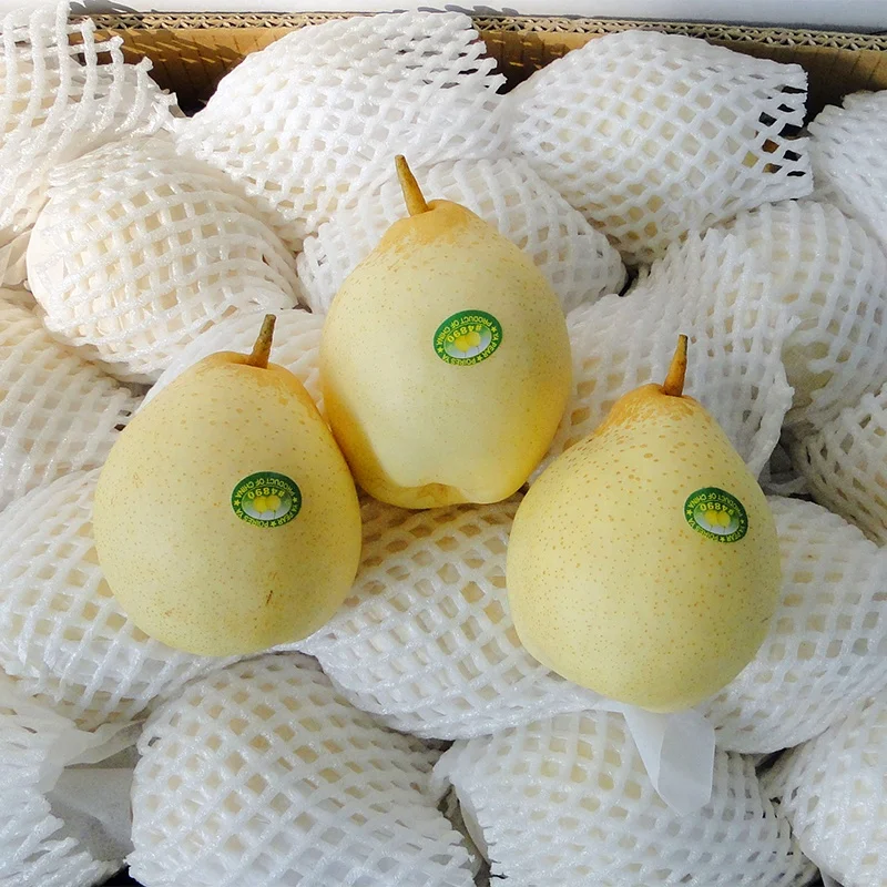 
High quality fresh fruit sweet nutrition ya pear 