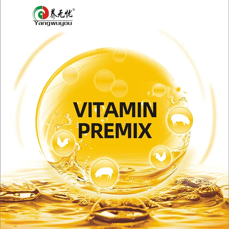 Water-soluble multivitamin premix improves reproduction and breeding and increases milk yield for cow
