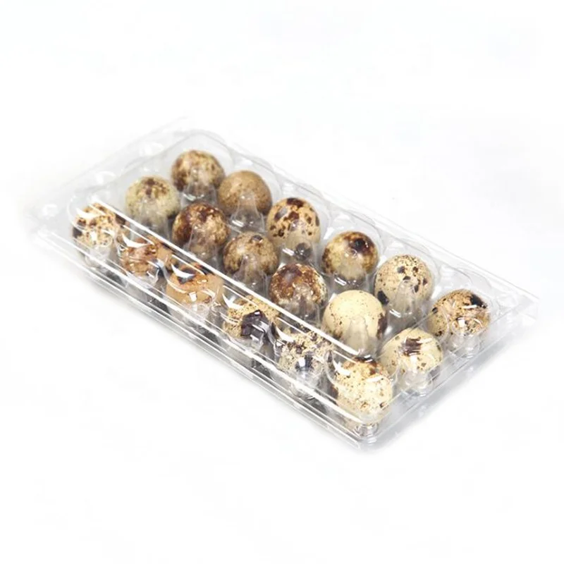 
Wholesale Clear Disposable Supermarket Blister Plastic Quail Egg Tray 