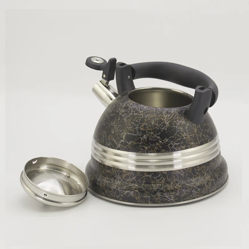 I TOP Silver Color Painting Stainless steel whistling tea kettle