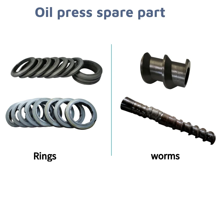 BTMA 6YL  oil press spare part worms and rings