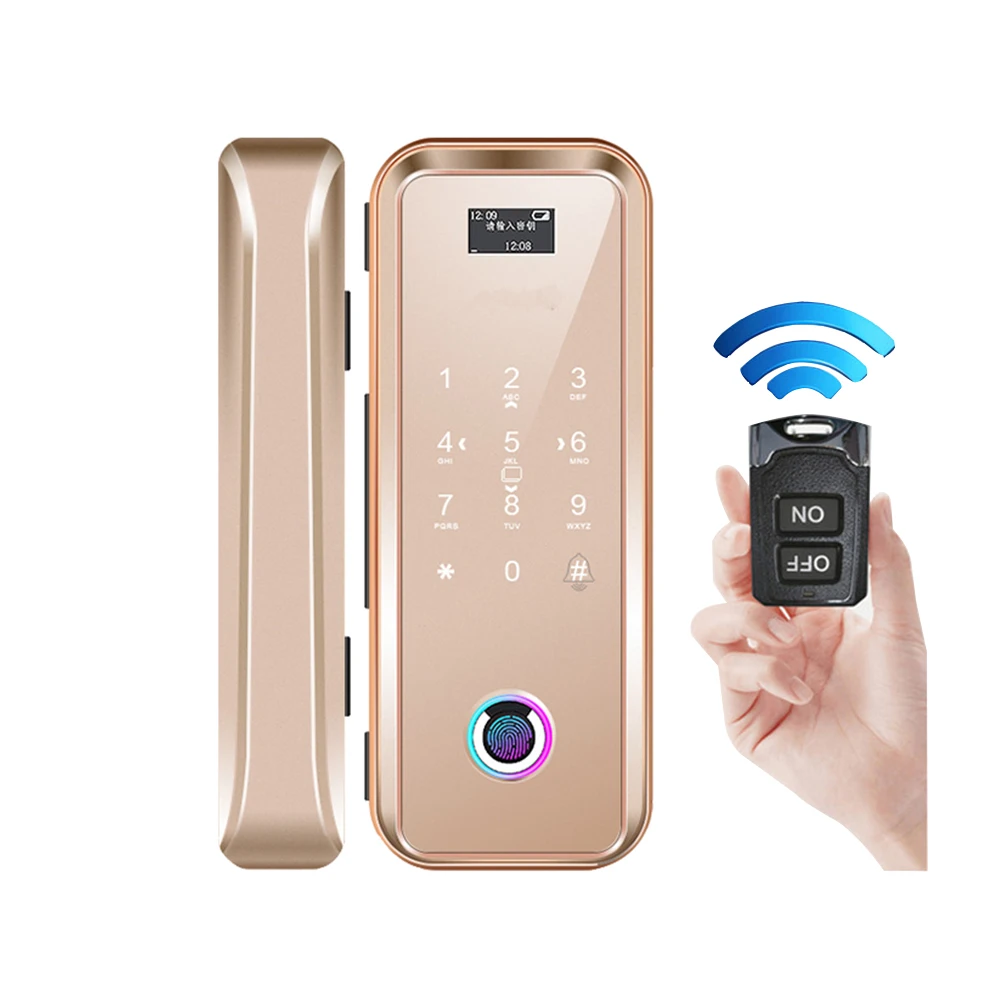 Remote Control Password Hotel Office Stainless Steel Latch Touchpad Smart Gate Glass Door Lock