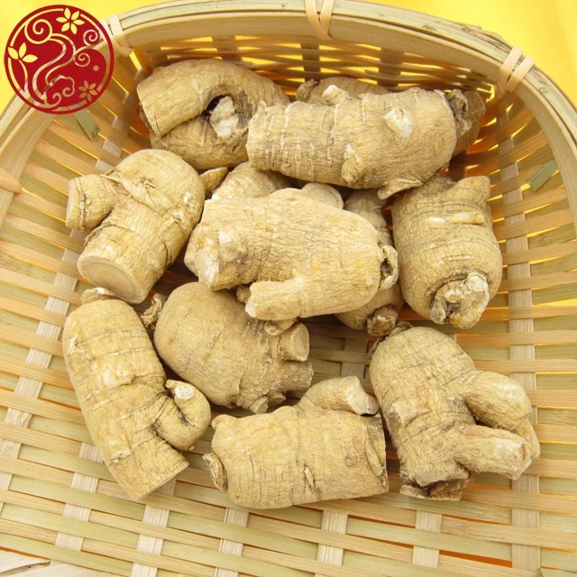 Сечение Американского Женьшеня Xi Yang Shen