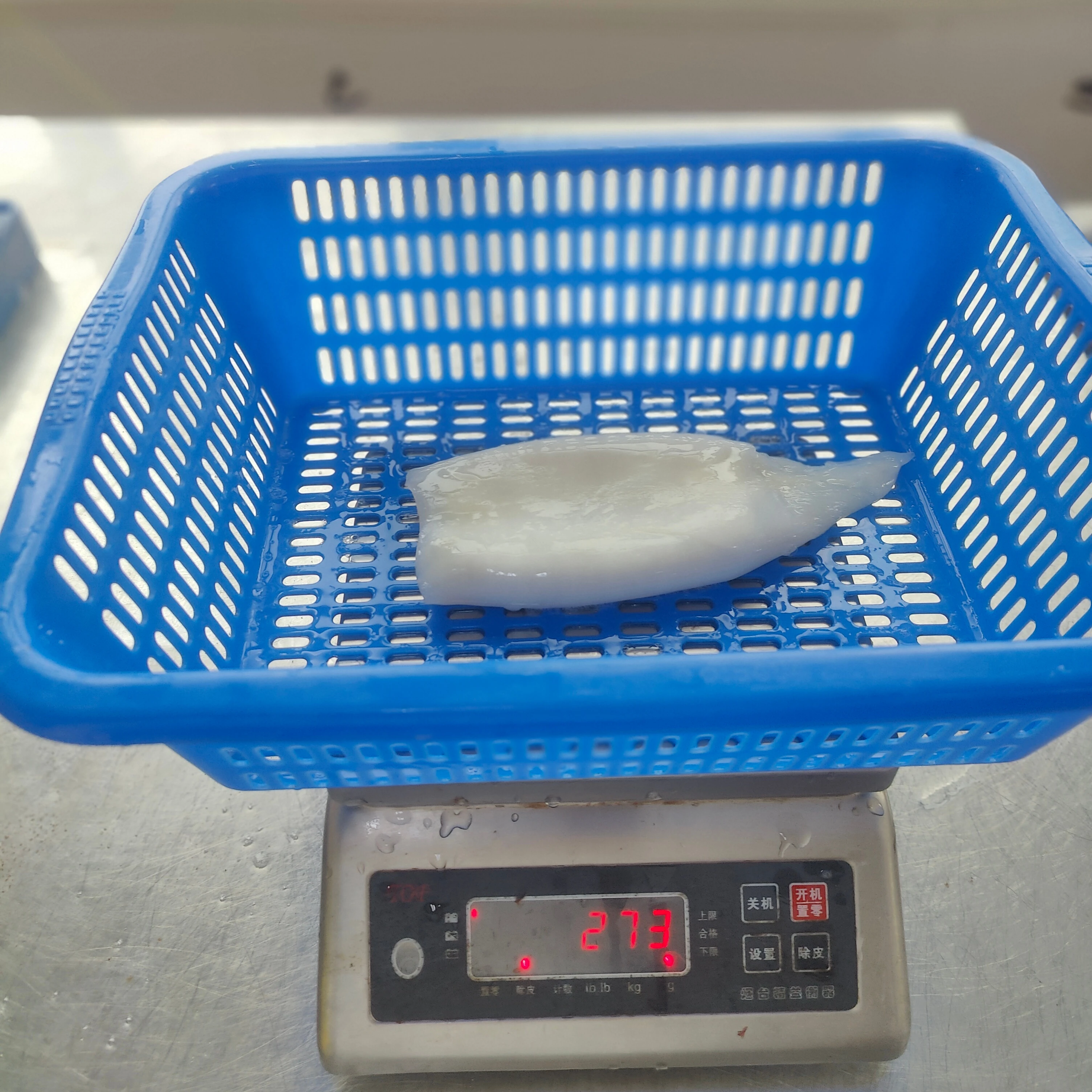 Frozen Whole Squid And Squid Tube made in china frozen peru squid tube