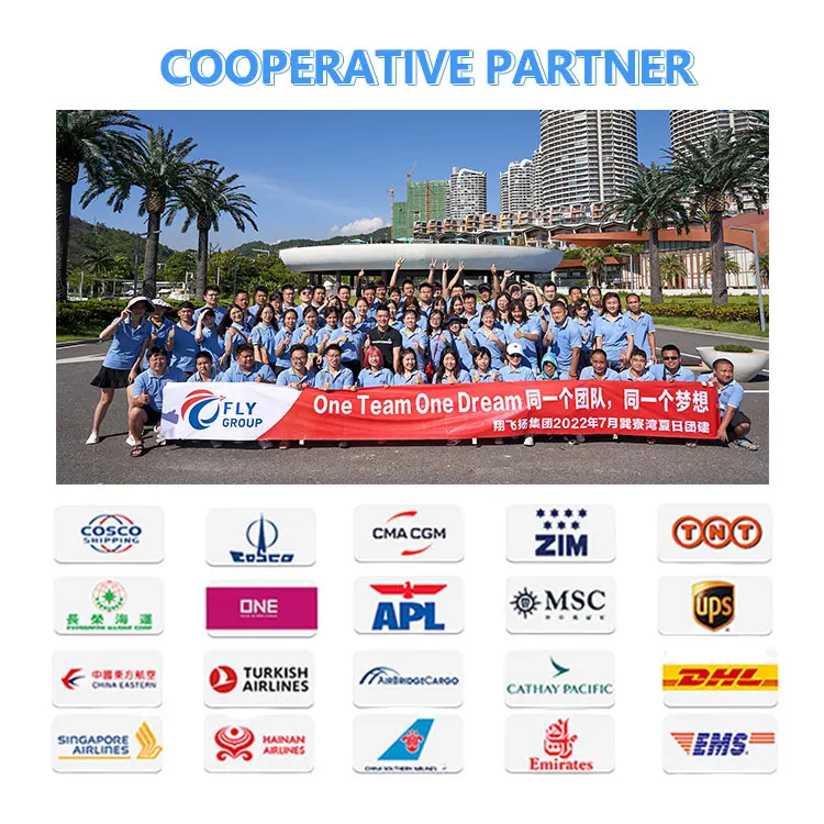 the best shipping agent in shenzhen China