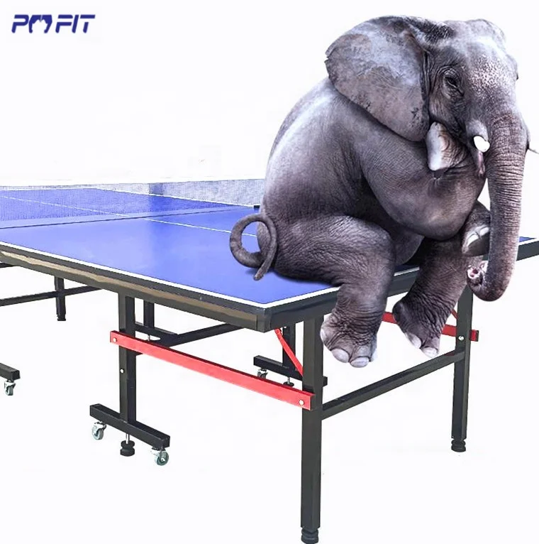 Изготовленным на заказ логосом пинг понг мешок теннис de теннис таблиц Настольный теннис стол складной