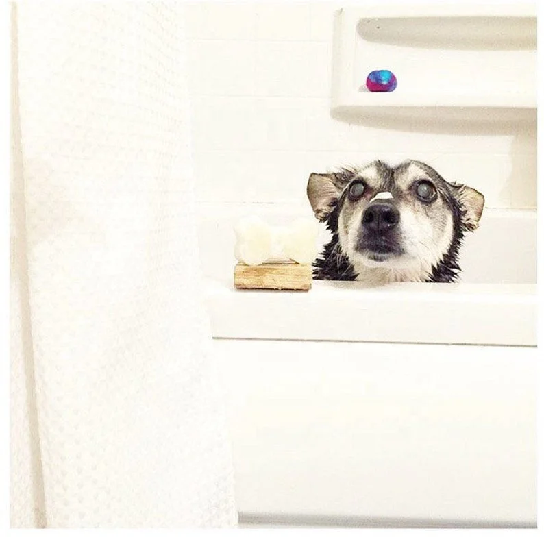 Private Label  Organic Dry Skin & Itch Relief Pet Shampoo Bar Natural Moisturizing Oatmeal Formula Dog Soap