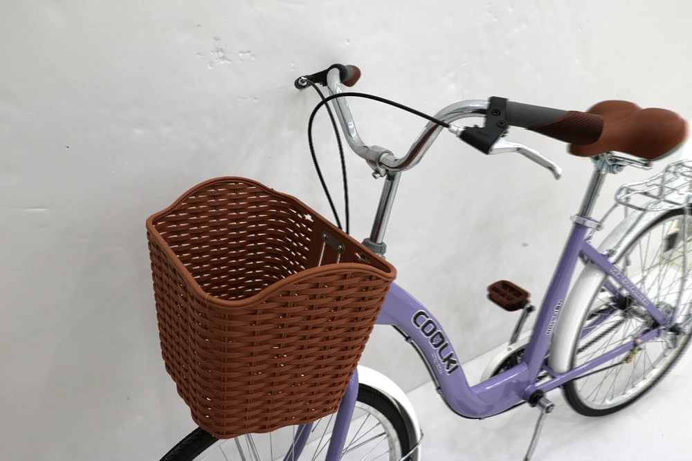 female bicycle online store purple 1speed 26inch spoked wheels carrier basket adult women City bike