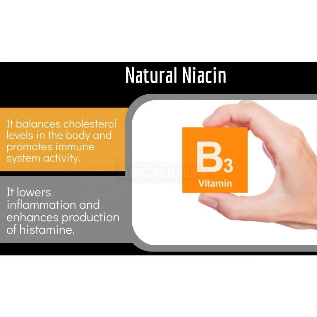 OEM Nitric Oxide Supplement With L Arginine Blood Circulation Supplements Poor Circulation and Vein Support Nitric Oxide Booster