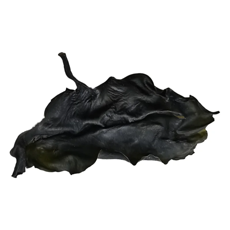 Natural dried seaweed dried seaweed wholesale seaweed supplier laminaria