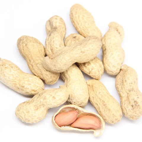 Арахисовое лущитель для арахиса