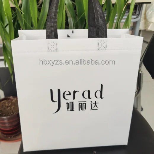 Non woven bag China manufacture factory direct Eco-friendly Reusable laminated non woven shopping bag