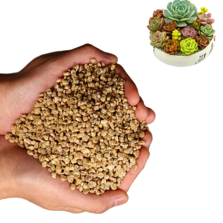 Nature Bonsai and succulent Maifan stone