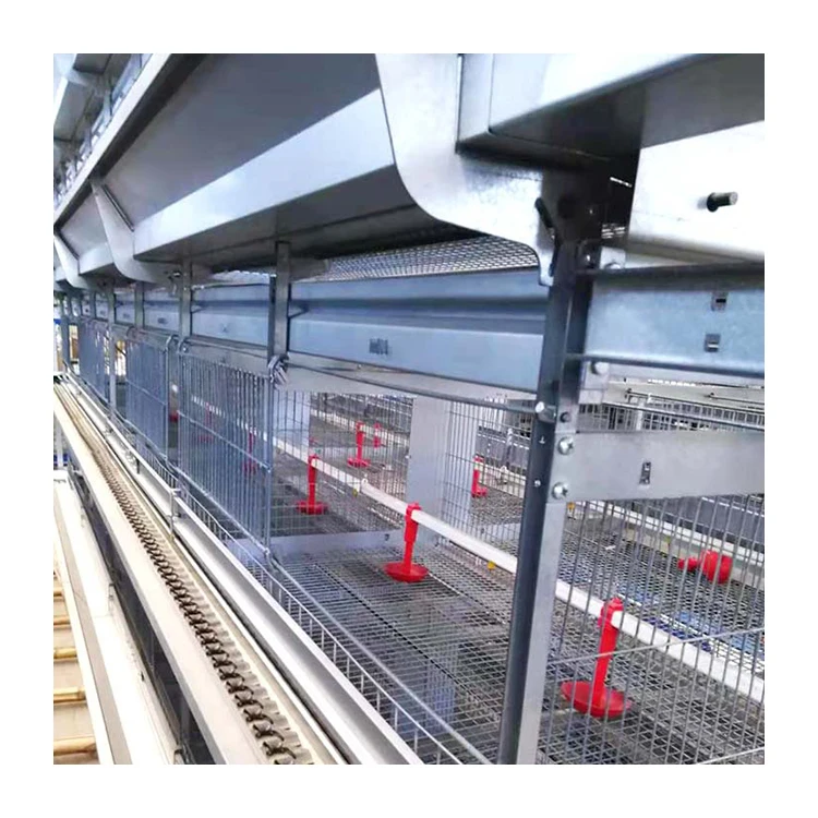 Poultry Farm Multi Tiers Galvanized Welded Wire Baby Chick Pullet Chickens Cage With Automatic Manure Cleaning System