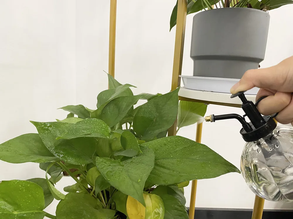 Ручной насос для садового стекла, распылитель, распылитель для растений