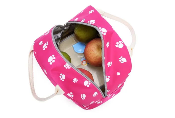 Backpack Girls School Bag Wholesale Kid School Backpack With Lunch Bag